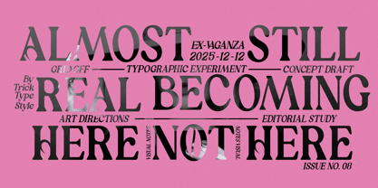 Ex Vaganza Font Poster 5