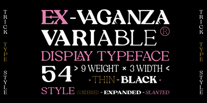 Ex Vaganza Font Poster 4