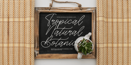 Soft Petals Font Poster 4