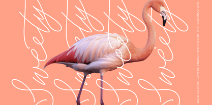 Soft Petals Font Poster 8