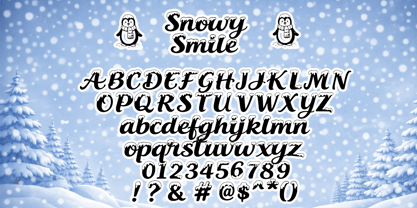 Snowy Smile Font Poster 3
