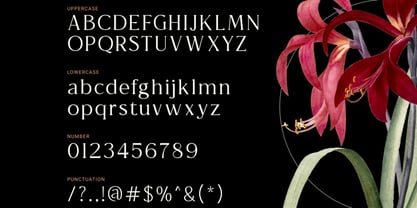 Astranala Font Poster 2