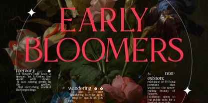 Astranala Font Poster 4