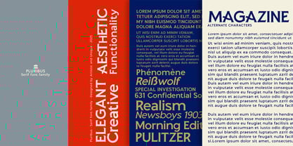 Pluribus Font Poster 15