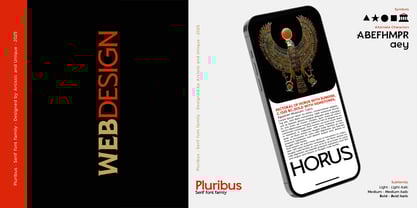 Pluribus Font Poster 14