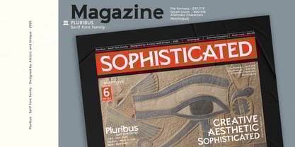 Pluribus Font Poster 8