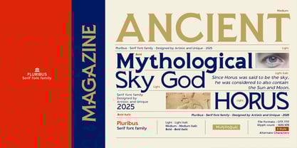 Pluribus Font Poster 7