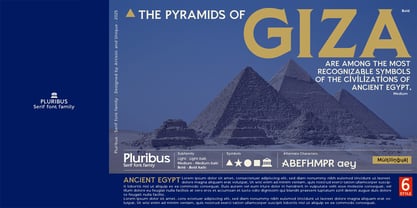 Pluribus Font Poster 9