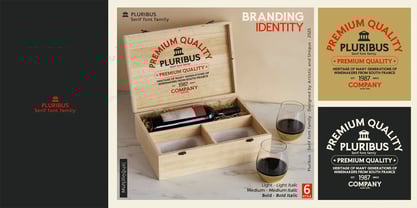 Pluribus Font Poster 11