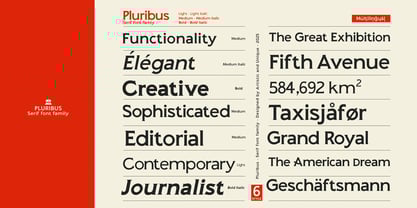Pluribus Font Poster 5
