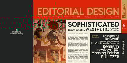 Pluribus Font Poster 6