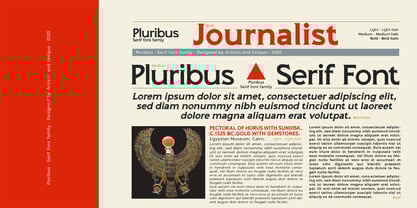 Pluribus Font Poster 12