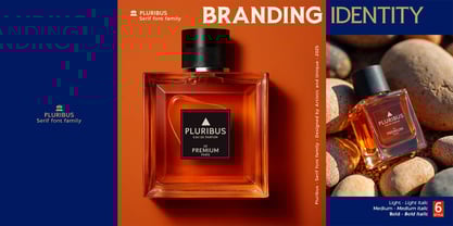 Pluribus Font Poster 10