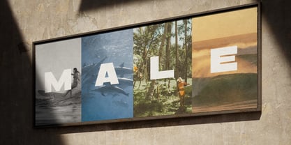 Bakers Font Poster 3