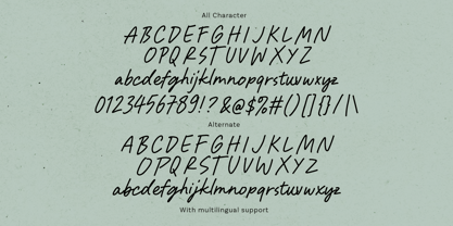 Fine Checklist Font Poster 7