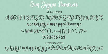 Own Jumps Hummels Font Poster 7