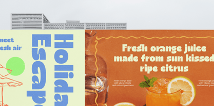 Natural Sage Font Poster 4