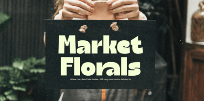 Natural Sage Font Poster 13