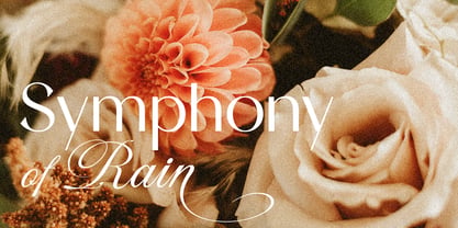 Lanson Font Poster 7