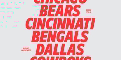 Meriko Font Poster 7