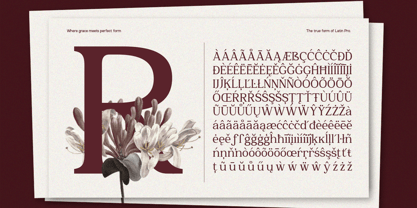 GC Romans Flower Font Poster 9