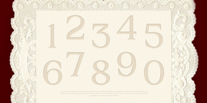 GC Romans Flower Font Poster 8