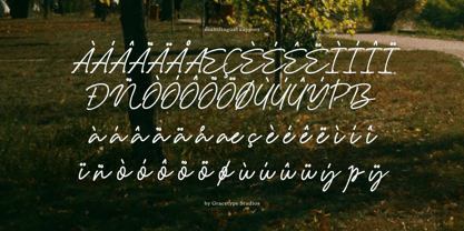 Garden Scrawl Font Poster 11