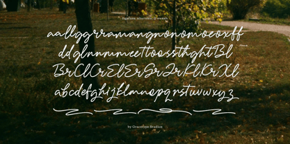 Garden Scrawl Font Poster 12