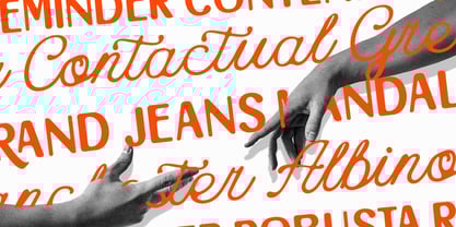 Esteta Script Font Poster 8