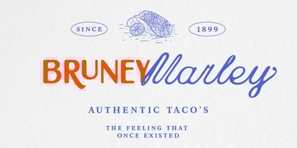 Esteta Script Font Poster 6