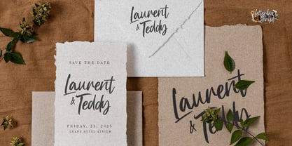 Letterbox Script Font Poster 6