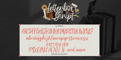 Letterbox Script Font Poster 7