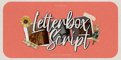 Letterbox Script Font Poster 1
