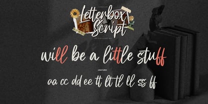 Letterbox Script Font Poster 8