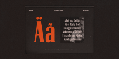 Trt Briged Font Poster 15