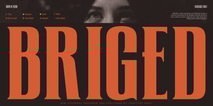 Trt Briged Font Poster 1