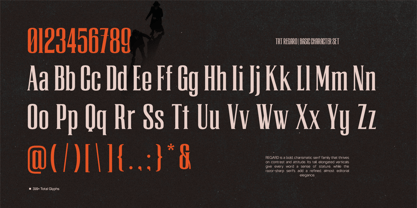 Trt Briged Font Poster 7