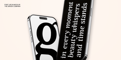 GC Driver Company Font Poster 11