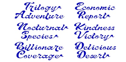 Written Capture Font Poster 5