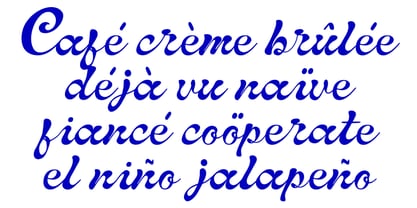 Written Capture Font Poster 12