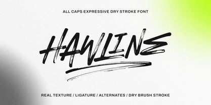 Hawline Font Poster 1