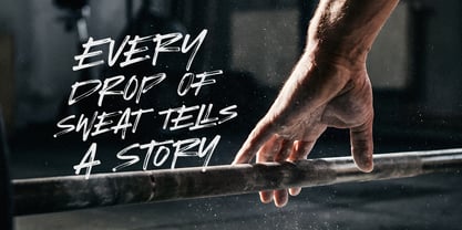 Hawline Font Poster 4