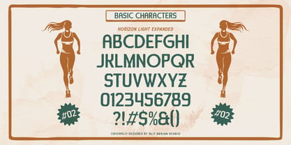 Horizon Light Dingbat Font Poster 5