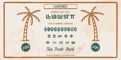 Horizon Light Dingbat Font Poster 9