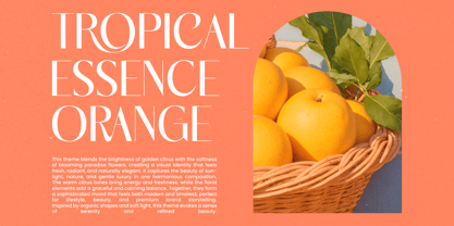 Marogis Font Poster 3