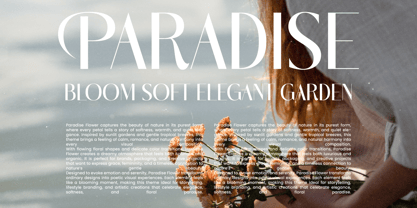 Marogis Font Poster 14
