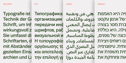Rigor Font Poster 4