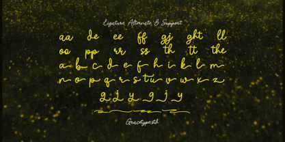 Nicolla Sunfield Font Poster 12