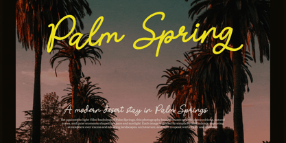 Nicolla Sunfield Font Poster 6