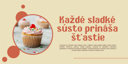 Rafiesta Font Poster 10